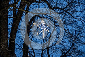 Christmas decoration on the tree. Glowing lamp in the form of a star