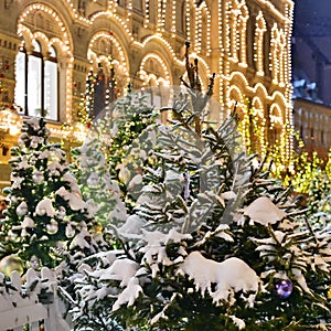 Christmas decoration of trees on Red Square in Moscow, Russia