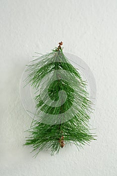 Christmas decoration of white background