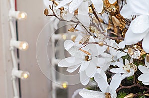 Christmas decoration with white flowers, bronze leaves and lights on the street