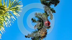 Christmas decorations and bauble hanging in a tropical setting with palm trees