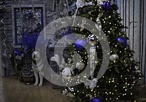 Christmas Decorations Of Blue And Grey