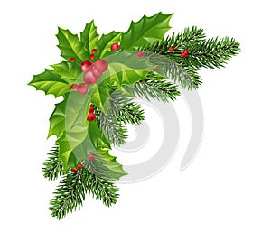 Christmas decorations: Christmas tree branches and holly with red berries. Festive composition. Isolated. Eps10 Vector