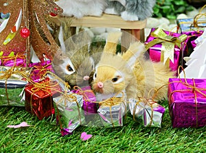 Christmas decorations