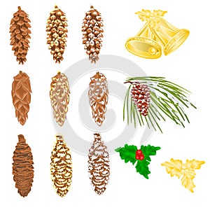 Pine cones natural and golden pine cones and snow pine cones vector