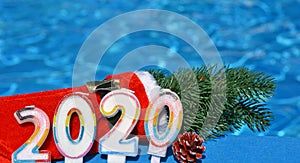 Christmas decorations and pine branch 2020