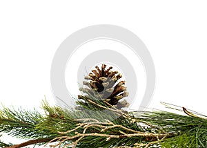 Christmas decorations with pine cone and twigs