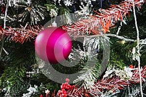 Christmas decorations on pine tree. Pink Christmas ball hanging on the Christmas tree close-up.