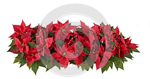 Christmas Decorations - Red Poinsettia