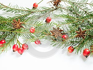Christmas decorations on a white background, berries rose hips, stars, fir branches. copy space