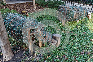 Christmas Decorations on Wooden Sheep, Chicago Illinois