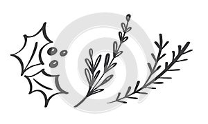 Christmas decorative branch elements design floral leaves in scandinavian style. Vector handdraw illustration for xmas