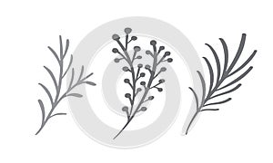 Christmas decorative branch elements design floral leaves in scandinavian style. Vector handdraw illustration for xmas