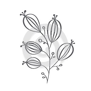 Christmas decorative branch elements design floral leaves in scandinavian style. Vector handdraw illustration for xmas