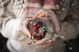 Christmas decorative branch with red berriess in female hands.