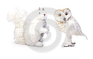 Christmas decorative elements of Rabbit and owl plush  on white, Clipping path included