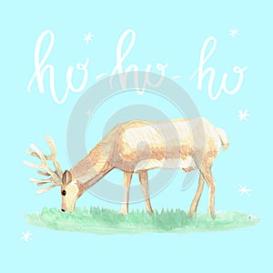 Christmas deer on blue background