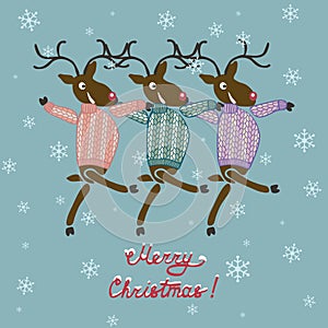 Christmas deer in sweater