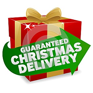 Christmas Delivery Icon