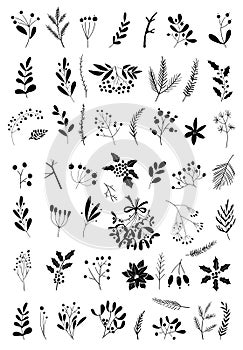 Christmas design elements with briar, berries, fir branches, mistletoe, snowflakes, cones, leaves. Hand Drawn Christmas