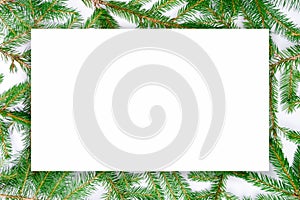 Christmas design template with copy space in the form of a white sheet of paper on the background of real fir branches. Minimal
