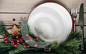 Christmas dinner plate