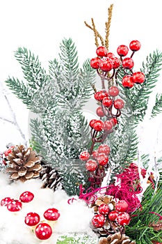 Christmas dish with berries mushrooms decoration