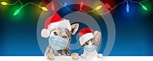 Christmas Dog and Cat Wearing Face Masks Over Banner