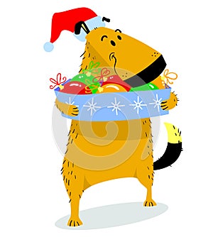 Christmas dog character. Cute pet in santa`s hat with box of dec