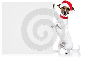 Christmas dog placeholder