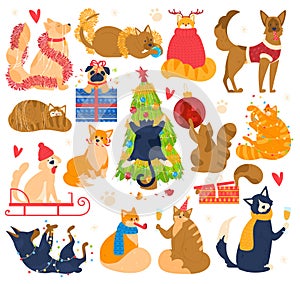 Christmas dogs and cats animals holiday funny pet, christmas, tree, gift box design cartoon vector illustration isolated