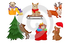 Christmas Dogs Collection, Cute Pets of Different Breeds with Holiday Accessories Vector Illustration