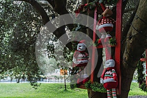 Christmas dolls ganging from trees photo