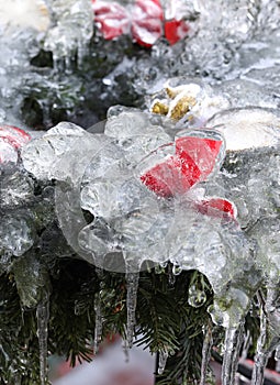 Christmas door decoration covered in ice and icecles outdoor in the winter.