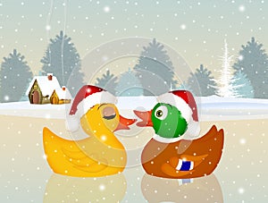 Christmas ducks