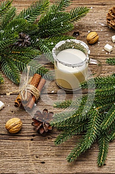 Christmas eggnog liqueur or cola de mono cocktail. Classical winter drink in glass mug, xmas decorations. Evergreen branches,