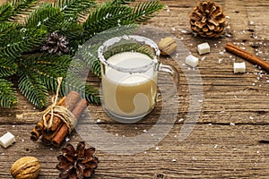 Christmas eggnog liqueur or cola de mono cocktail. Classical winter drink in glass mug, xmas decorations. Evergreen branches,