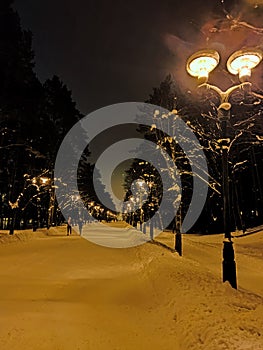 Christmas evening winter landscape with vintage lampposts