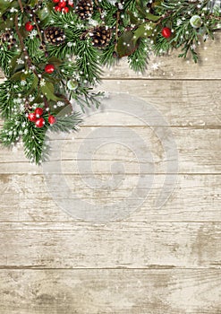 Christmas evergreen branches and holly on wood background