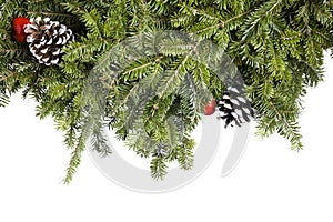 Christmas Evergreen decoration isolated on white.