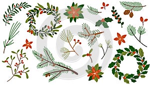 Christmas evergreen plants. Tree, fir, pine and cone, spruce twig, holly berries, leaves branches set.