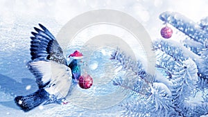 Christmas fabulous image. A dove in a santa claus hat decorates a Christmas tree in a winter magic forest. New Year card.