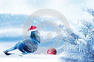 Christmas fabulous image. A dove in a santa claus hat decorates a Christmas tree in a winter magic forest. New Year card.