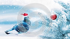 Christmas fabulous image. Dove in santa hat in winter magic forest. New Year card.