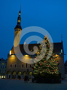 Christmas Fair in Old Tallinn, Christmas tree on the square in Old Tallinn