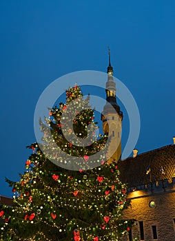 Christmas Fair in Old Tallinn, Christmas tree on the square in Old Tallinn