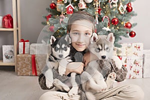 Christmas family. Child boy with dogs husky puppies on background of christmas tree. Happy New Year! Christmas greeting card with