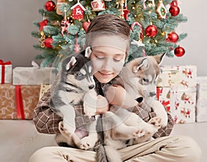 Christmas family. Child boy with dogs husky puppies on background of christmas tree. Happy New Year! Christmas greeting card with