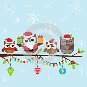 Christmas family of owls