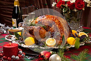 Christmas Feast Turkey